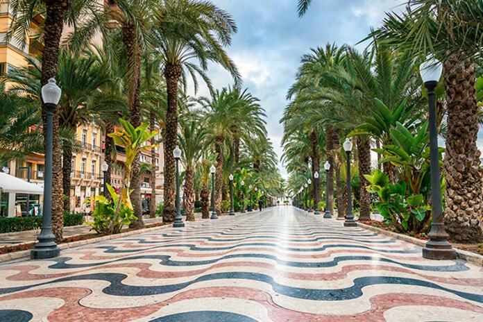 Centrico Y Espacioso Piso En Barrio Tranquilo Alicante Exteriör bild